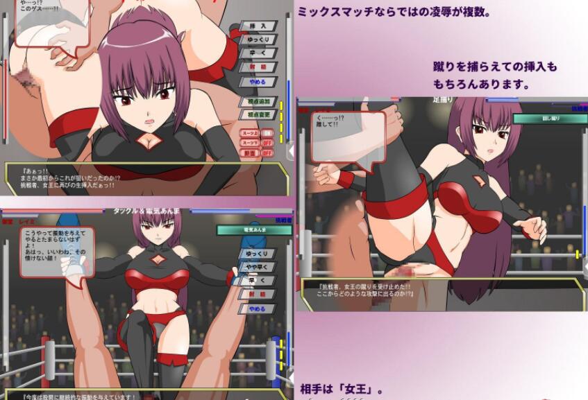 [ACT/汉化/全动态/PC+安卓] 斗技女王蕾米 完整精翻汉化版 [500M]